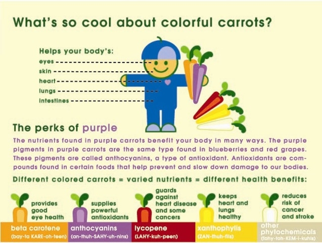 carrot-colors