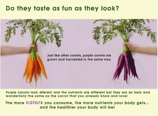 purple-carrots-vs-regular-carrots