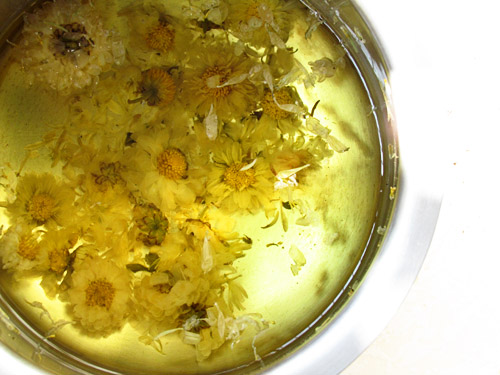Chrysanthemum-tea-2