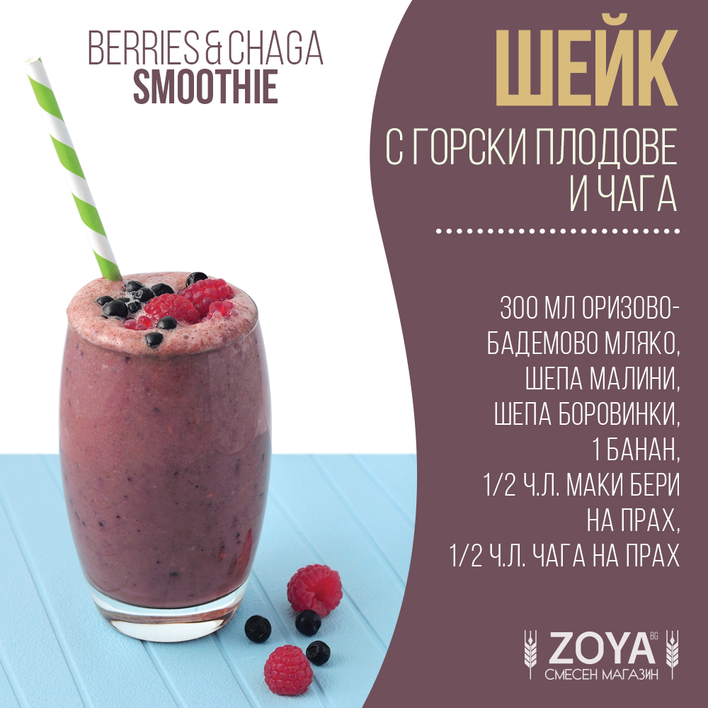 gorski-plodove-chaga-shake