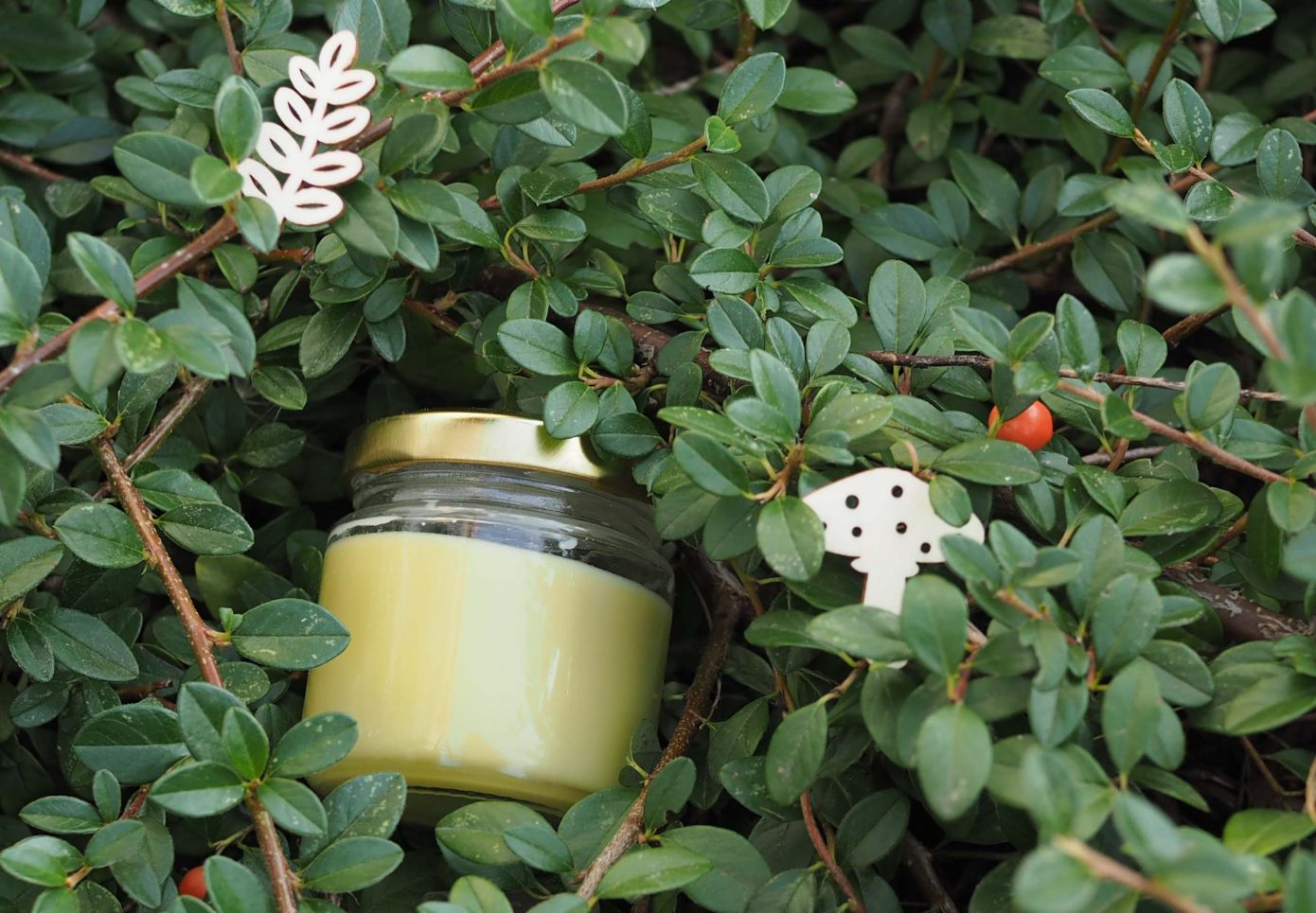 Крем за лице за комбинирана кожа/ Face cream for combination skin | Кукуряк
